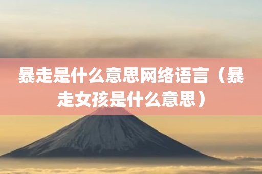 暴走是什么意思网络语言（暴走女孩是什么意思）