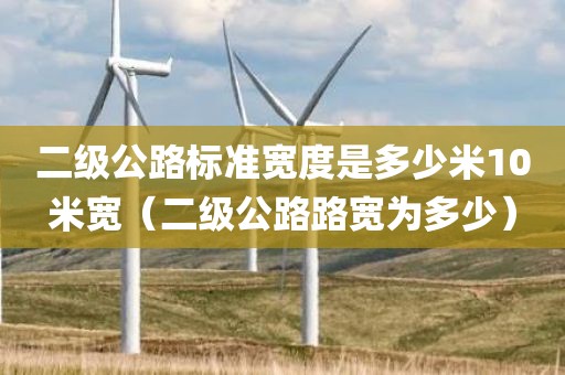 二级公路标准宽度是多少米10米宽（二级公路路宽为多少）