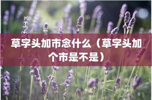 草字头加市念什么（草字头加个市是不是）