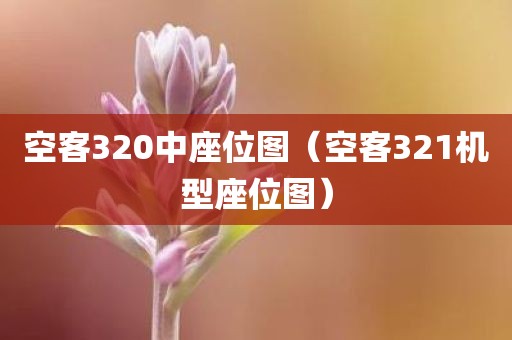 空客320中座位图（空客321机型座位图）