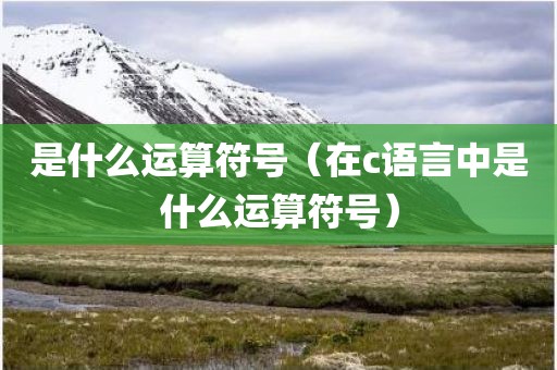 是什么运算符号（在c语言中是什么运算符号）