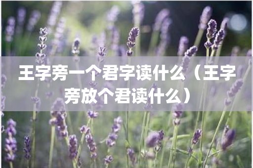 王字旁一个君字读什么（王字旁放个君读什么）