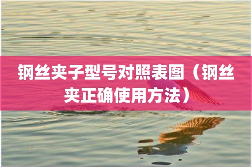 钢丝夹子型号对照表图（钢丝夹正确使用方法）