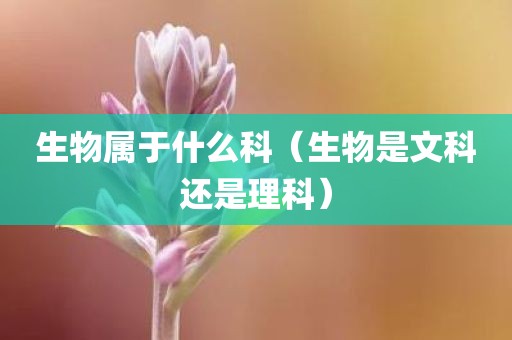 生物属于什么科（生物是文科还是理科）