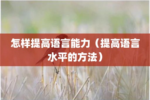 怎样提高语言能力（提高语言水平的方法）