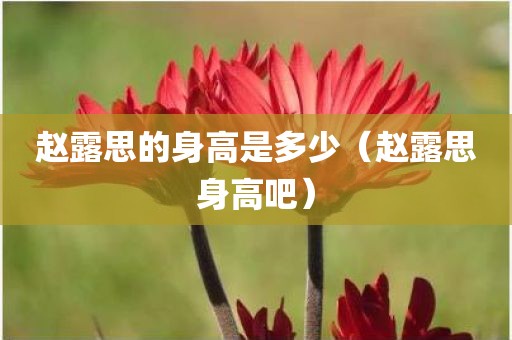 赵露思的身高是多少（赵露思身高吧）