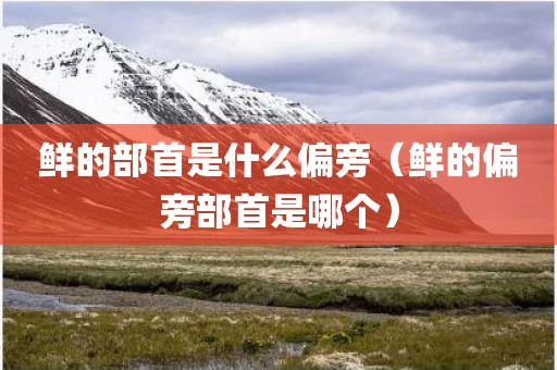 鲜的部首是什么偏旁(鲜的偏旁部首是哪个)