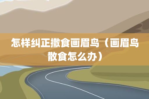 怎样纠正撒食画眉鸟（画眉鸟散食怎么办）