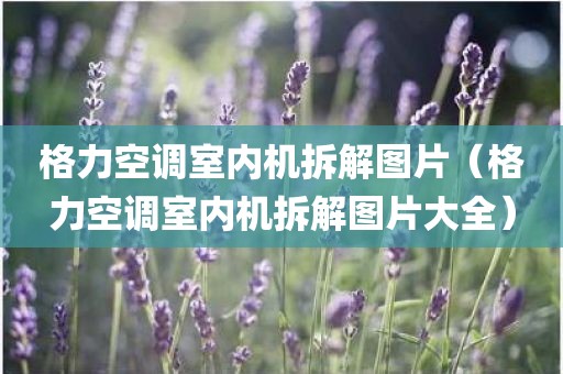 格力空调室内机拆解图片（格力空调室内机拆解图片大全）