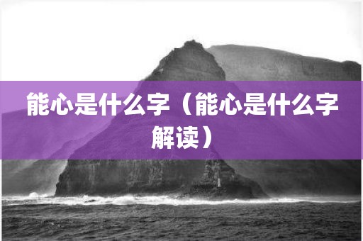 能心是什么字(能心是什么字解读)