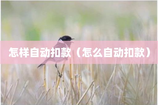 怎样自动扣款（怎么自动扣款）