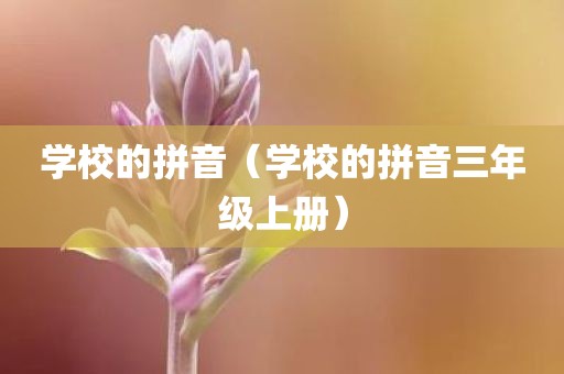 学校的拼音（学校的拼音三年级上册）