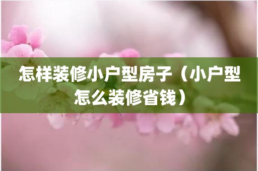怎样装修小户型房子（小户型怎么装修省钱）