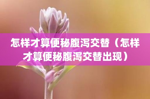 怎样才算便秘腹泻交替（怎样才算便秘腹泻交替出现）