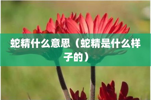 蛇精什么意思（蛇精是什么样子的）