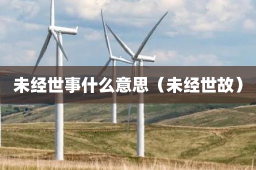 未经世事什么意思（未经世故）