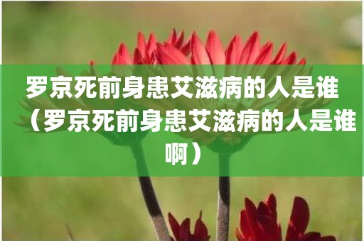 罗京死前身患艾滋病的人是谁(罗京死前身患艾滋病的人是谁啊) 罗京死前身患艾滋病的人是谁(罗京死前身患艾滋病的人是谁啊)