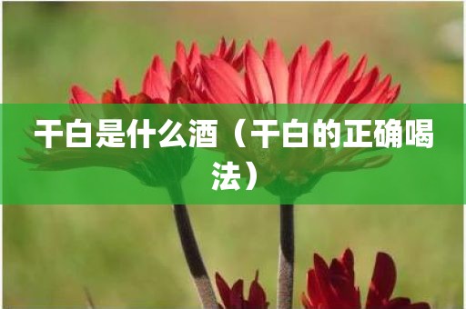 干白是什么酒（干白的正确喝法）
