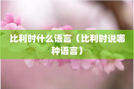比利时什么语言(比利时说哪种语言)