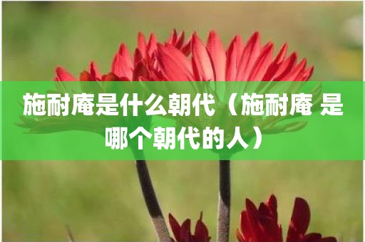 施耐庵是什么朝代（施耐庵 是哪个朝代的人）