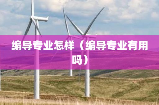 编导专业怎样（编导专业有用吗）