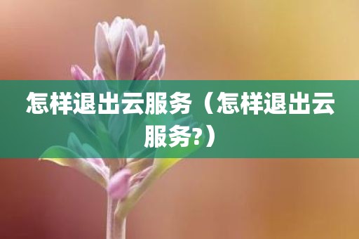 怎样退出云服务（怎样退出云服务?）