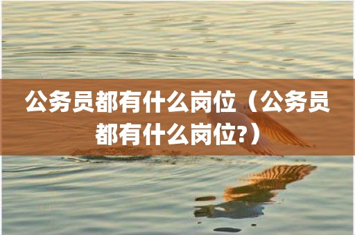 公务员都有什么岗位（公务员都有什么岗位?）