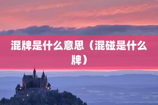 混牌是什么意思（混碰是什么牌）