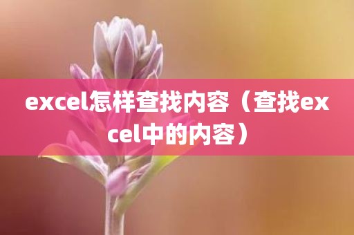 excel怎样查找内容（查找excel中的内容）