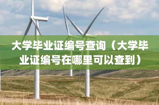 大学毕业证编号查询（大学毕业证编号在哪里可以查到）