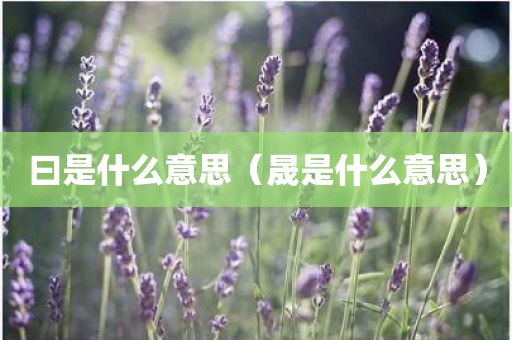 曰是什么意思（晟是什么意思）