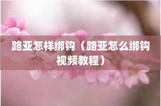 路亚怎样绑钩（路亚怎么绑钩视频教程）