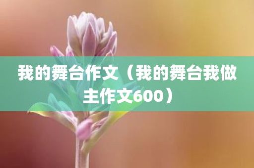我的舞台作文(我的舞台我做主作文600)