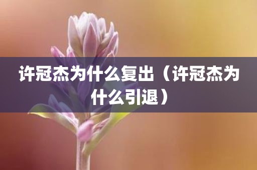 许冠杰为什么复出（许冠杰为什么引退）