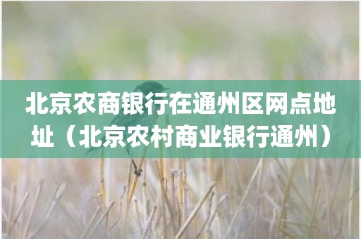 北京农商银行在通州区网点地址(北京农村商业银行通州)