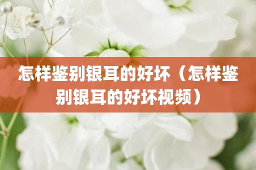 怎样鉴别银耳的好坏（怎样鉴别银耳的好坏视频）