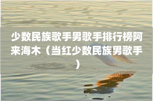少数民族歌手男歌手排行榜阿来海木（当红少数民族男歌手）