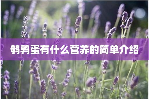 鹌鹑蛋有什么营养的简单介绍