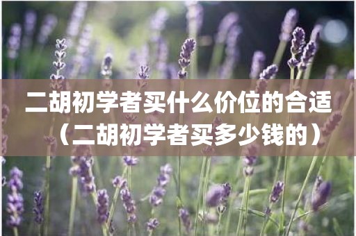 二胡初学者买什么价位的合适（二胡初学者买多少钱的）