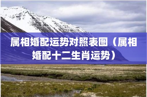 属相婚配运势对照表图（属相婚配十二生肖运势）