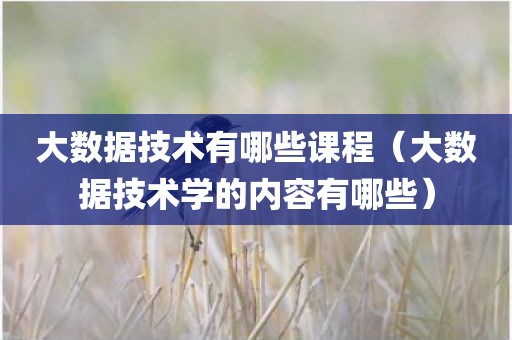 大数据技术有哪些课程（大数据技术学的内容有哪些）