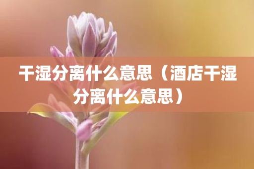 干湿分离什么意思（酒店干湿分离什么意思）