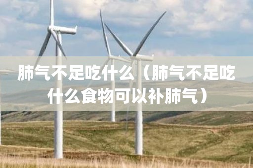 肺气不足吃什么（肺气不足吃什么食物可以补肺气）