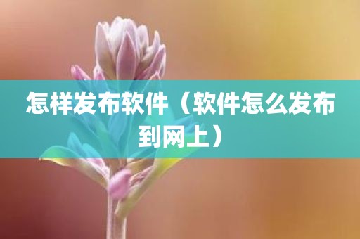 怎样发布软件（软件怎么发布到网上）