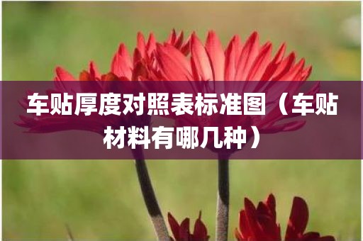 车贴厚度对照表标准图(车贴材料有哪几种)