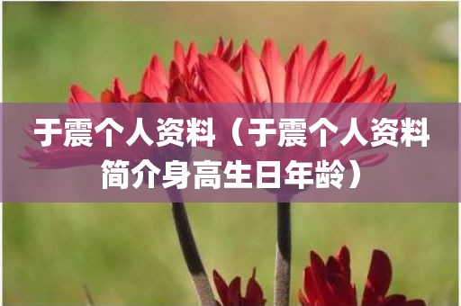 于震个人资料（于震个人资料简介身高生日年龄）