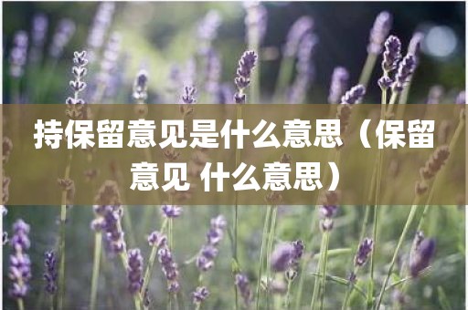 持保留意见是什么意思（保留意见 什么意思）