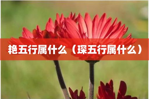 艳五行属什么（琛五行属什么）