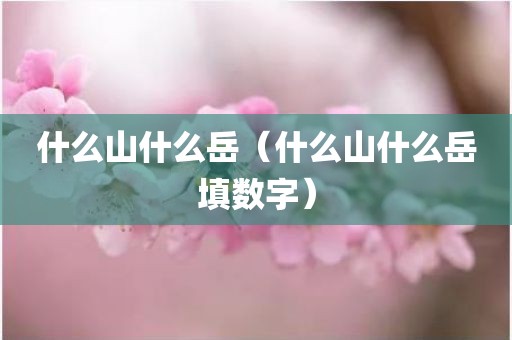 什么山什么岳（什么山什么岳填数字）