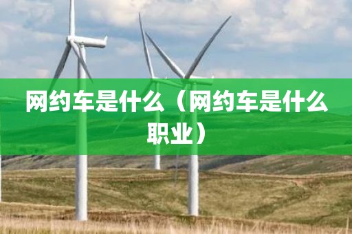 网约车是什么（网约车是什么职业）